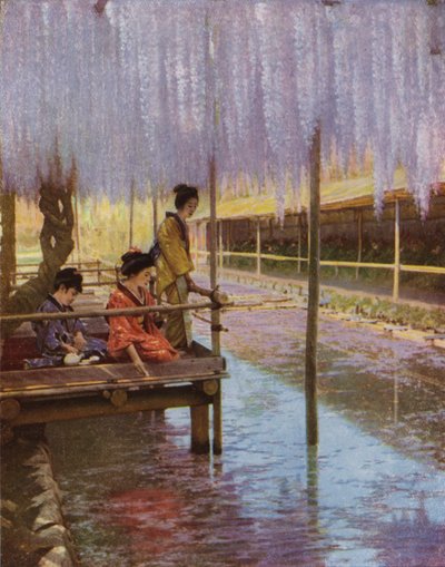 Under de lilla Wistarias (bilde) av Herbert Ponting