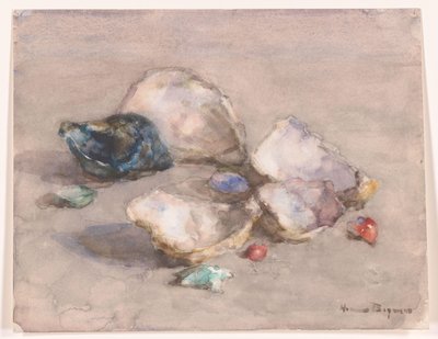 Skjell på stranden av Herman Bogman (signed by artist)