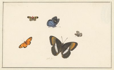 Fem sommerfugler (akvarell og gouache) av Herman Henstenburgh