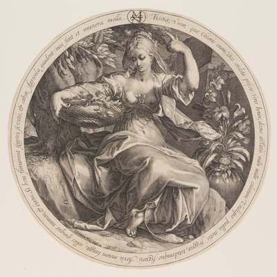  av Herman Jansz. Muller