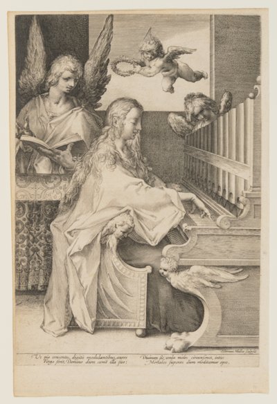  av Herman Jansz. Muller