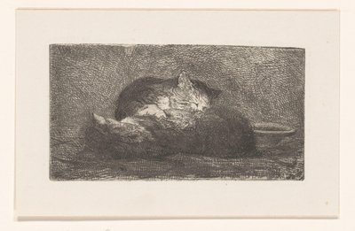 To katter av Herman Johannes van der Weele