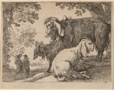 Angorasau av Herman van Swanevelt