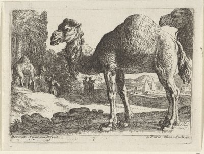 kameler Landskap med dyr (serietittel) av Herman van Swanevelt
