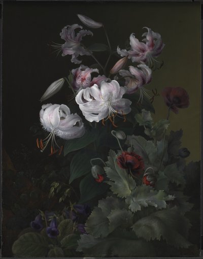 Blomsterplanter av Hermania Neergaard