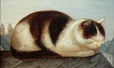 katt av Hermann Anschütz