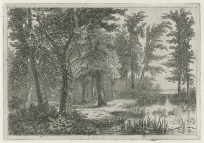 Skogutsikt med myr med ender av Hermanus Jan Hendrik van Rijkelijkhuysen