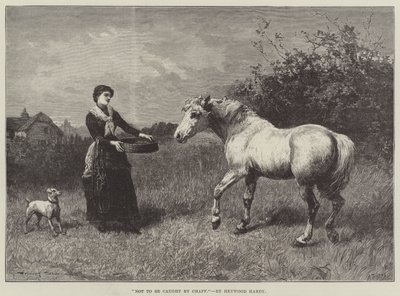 For ikke å bli fanget av agner av Heywood Hardy
