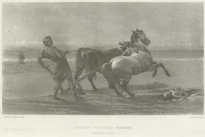 Ulysses later som galskap (gravyr) av Heywood Hardy