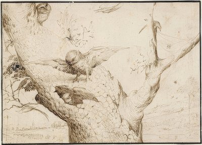 Eulennest. A 1505-10 av Hieronymus Bosch