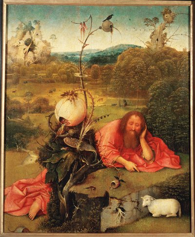 Johannes der Täufer in Meditation von Hieronymus Bosch