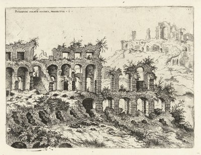 Utsikt over Colosseum og Palatinerhøyden Rvinarvm palatii maioris, prospectvs 1 (tittel på objekt) Romerske ruiner (serietittel) av Hieronymus Cock