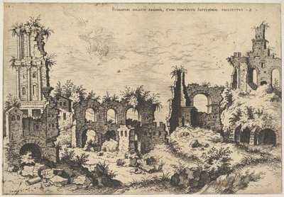 Utsikt over ruiner på Palatinerhøyden med trabeated fasade til venstre og arkader i midten, fr..., 1550. av Hieronymus Cock