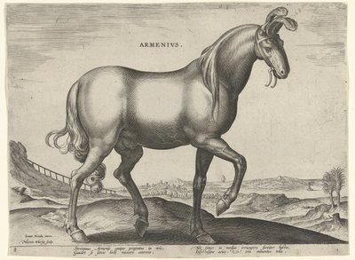 Hest fra Armenia (Armenius) Armenere (tittel på objekt) Hesteraser fra Royal Stables of Don Juan of Austria (serietittel) Equile Ioannis Austriaci Caroli (serietittel) av Hieronymus Wierix
