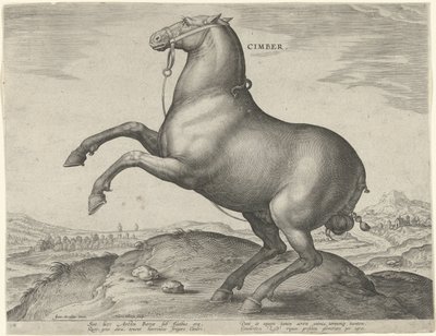 Hest fra Scythia Cimber (tittel på objekt) Hesteraser fra Royal Stables of Don Juan of Austria (serietittel) Equile Ioannis Austriaci Caroli (serietittel) av Hieronymus Wierix