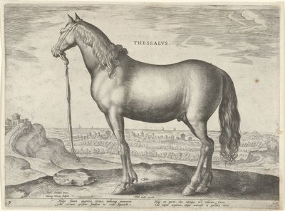 Hest fra Thessaly (Thessalos) Thessalvs (tittel på objekt) Hesteraser fra Royal Stables of Don Juan of Austria (serietittel) Equile Ioannis Austriaci Caroli (serietittel) av Hieronymus Wierix