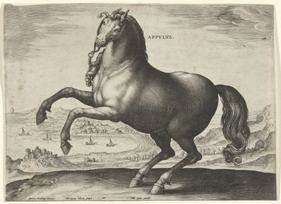Hest fra Sør-Italia (Appulus) Appvlvs (tittel på objekt) Hesteraser fra Royal Stables of Don Juan of Austria (serietittel) Equile Ioannis Austriaci Caroli (serietittel) av Hieronymus Wierix