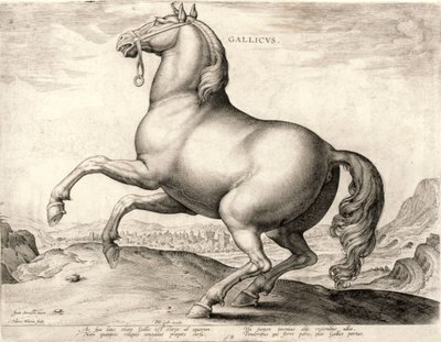 Gallicus fra serien Hester fra stallen til Don Juan av Østerrike (gravering på vev) av Hieronymus or Jerome Wierix