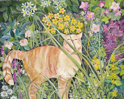 Cat and Long Grass, 1996 av Hilary Jones