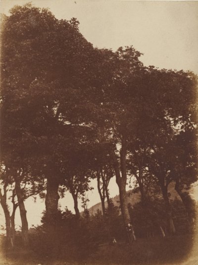 [Feltet ved Bonaly] av Hill and Adamson
