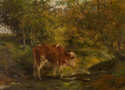  av Hippolyte Boulenger