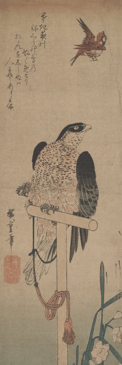 Falk på abbor, spurv og narcissus av Hirokage Utagawa