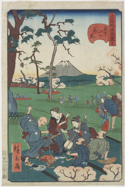 No.5, Cherry-blossom-visning på Asuka Hill av Hirokage Utagawa