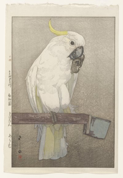 Sulphur-crested Cockatoo   1405623   no       norwegian Successfully Translated  Original: The Death of Prince Ludwig of Prussia at the Battle of Saalfeld, 10 October 1806. Translat: 