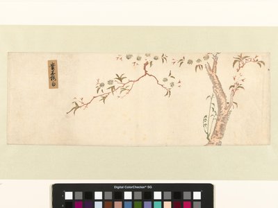 Blomstrende kirsebærtre av Hiroshige (I) , Utagawa (attributed to)