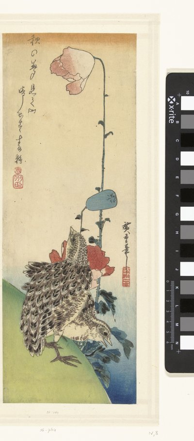 Vaktler og valmuer av Hiroshige (I) , Utagawa