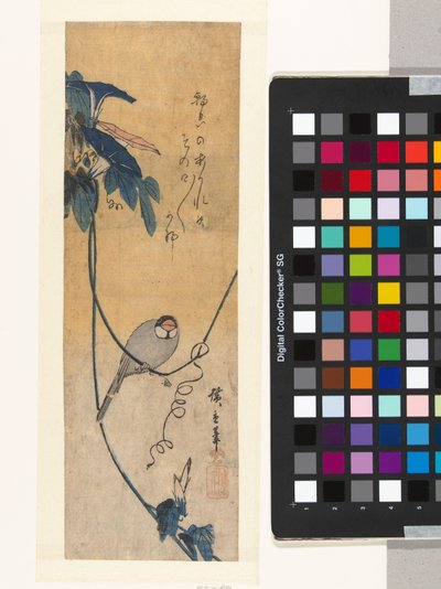 Fugl og blå bindweed av Hiroshige (I) , Utagawa
