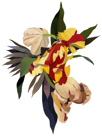 Tulipanpapegøye 3 av Hiroyuki Izutsu
