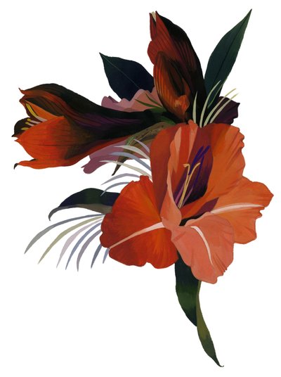En imaginær blomst basert på en amaryllis. av Hiroyuki Izutsu