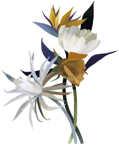 En imaginær blomst med hvit bunn. av Hiroyuki Izutsu