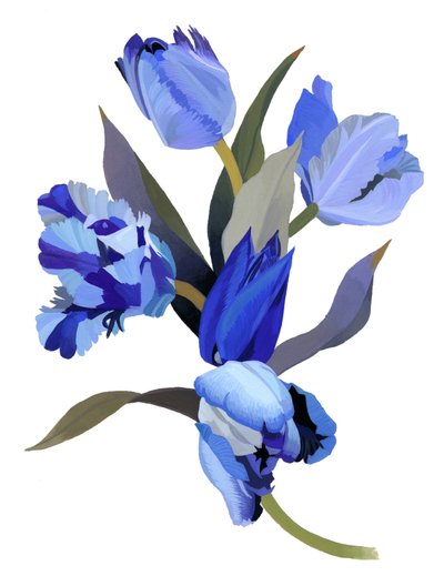 Blå tulipan av Hiroyuki Izutsu