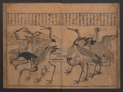 Illustrationen von Vögeln und Blumen (Kachō e-zukushi) av Hishikawa Moronobu