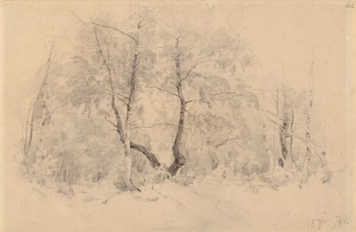  av Hjalmar Munsterhjelm