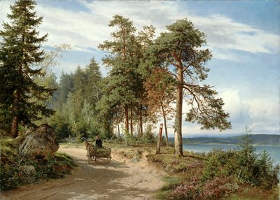  av Hjalmar Munsterhjelm