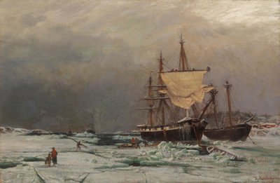  av Hjalmar Munsterhjelm