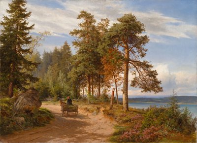  av Hjalmar Munsterhjelm