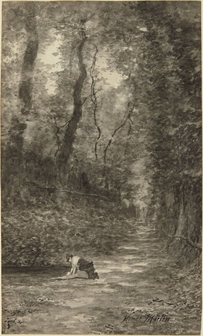  av Homer Dodge Martin
