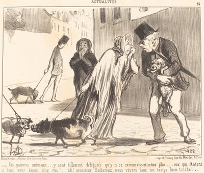 Disse stakkars dyrene... kjenner seg ikke igjen... lenger... av Honoré Daumier