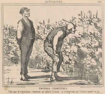 Jeg må se hvordan druen modnes... av Honoré Daumier