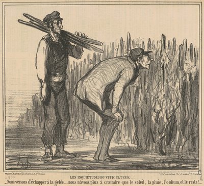 Vinbondens bekymringer av Honoré Daumier