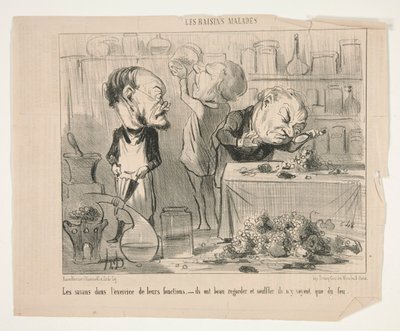 Les savans dans l   1358603   no       norwegian Successfully Translated  Original: Fish Catch Translat: Fish Catch 1326118 no norwegian Successfully Translated Original: Colcha Translat: Colcha 1218377 no norwegian Successfully Translated Original: Park w av Honoré Daumier