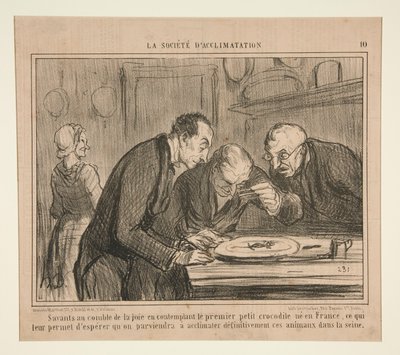 Forskere på høyden av glede overveier den første lille krokodillen av Honoré Daumier
