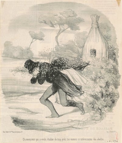 En herre som ønsket å studere ... bienes skikker av Honoré Daumier