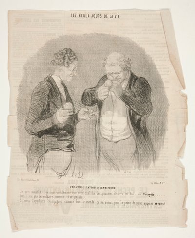 En vitenskapelig konsultasjon, fra Livets vakre dager av Honoré Daumier