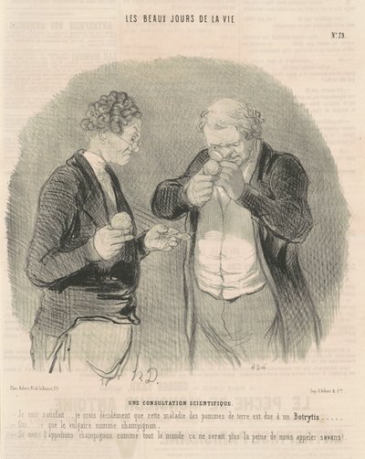 En vitenskapelig konsultasjon av Honoré Daumier