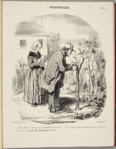 Podingen min av et kirsebærtre på et aprikostre har ikke tatt... av Honoré Daumier